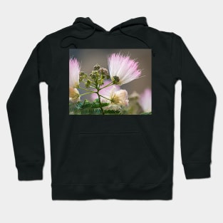 Mimosa Radiance Hoodie